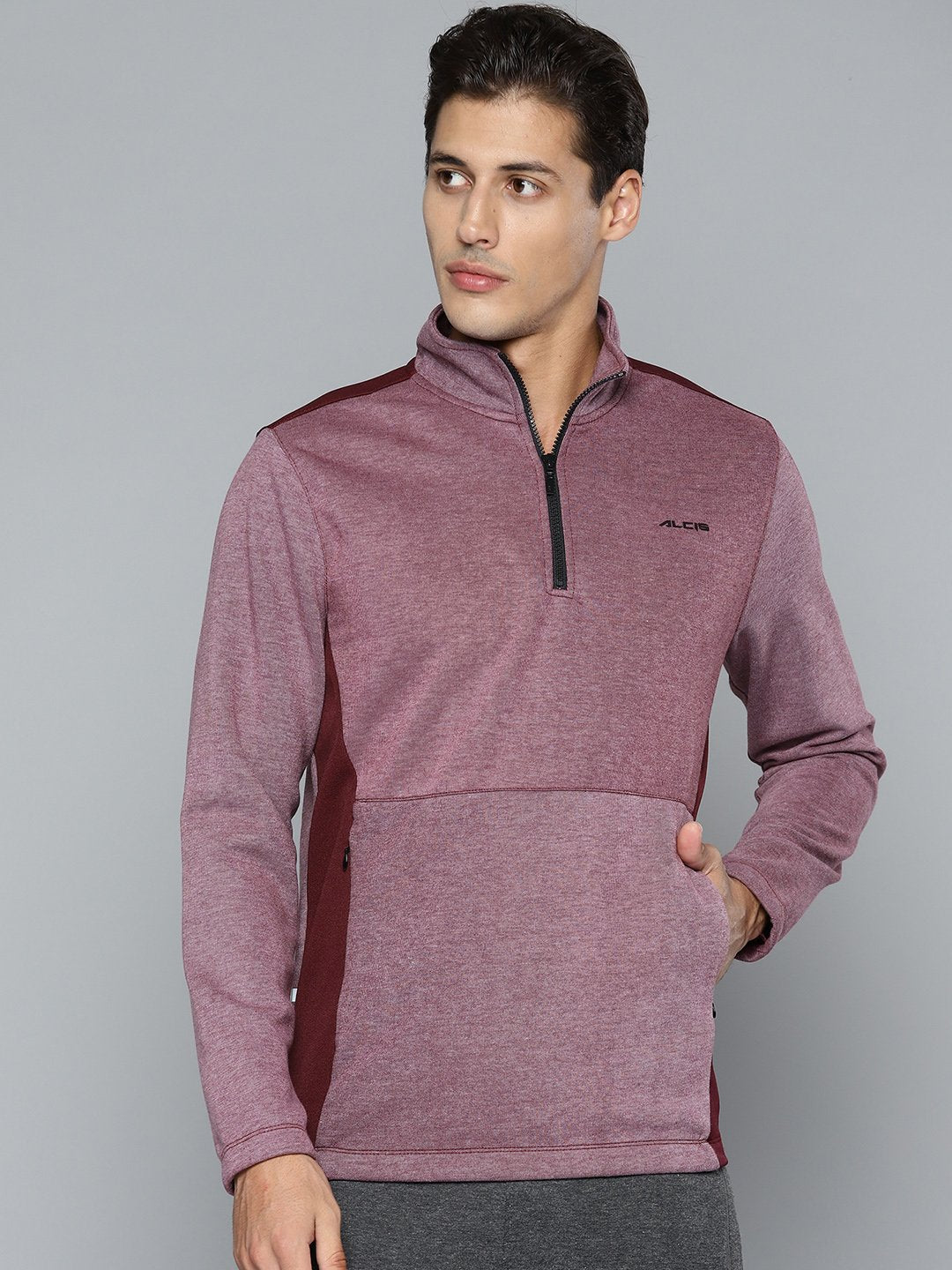 Alcis Men Purple Sweatshirt